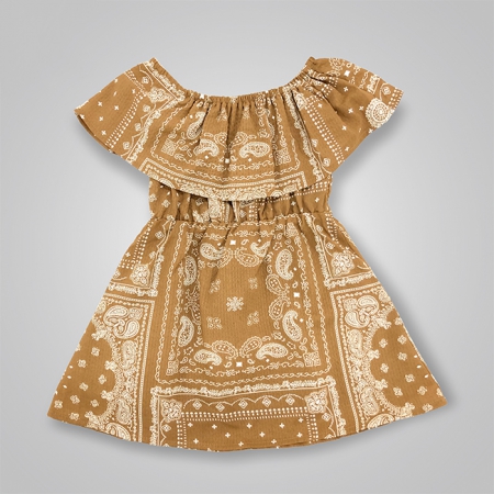 Off Shoulder Paisley Print Dress
