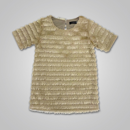 Champagne Fringe Dress