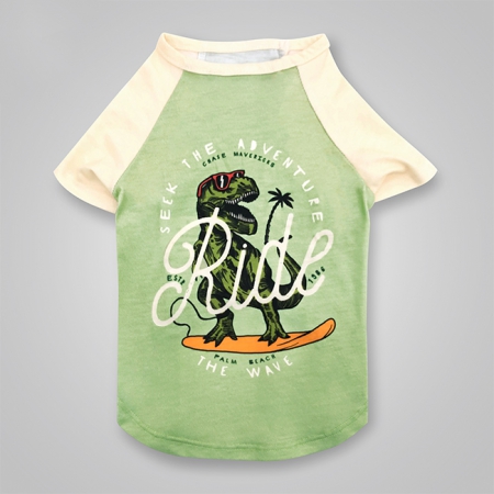 Pet Dinosaur T-Shirt