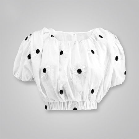 Waist Cutout Embroidered Crop Top