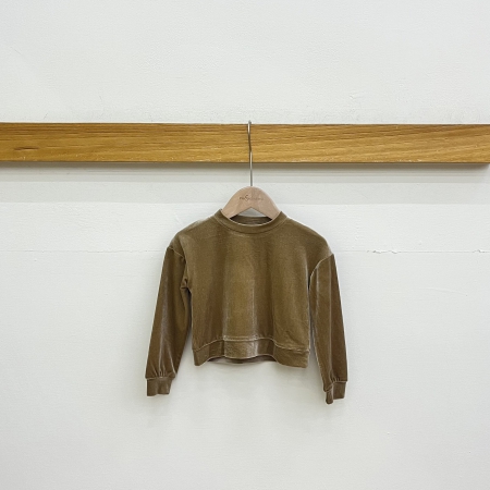 Velvet Crew Neck Sweatshirt