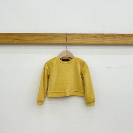 Cotton Velvet Crew Neck Sweatshirt