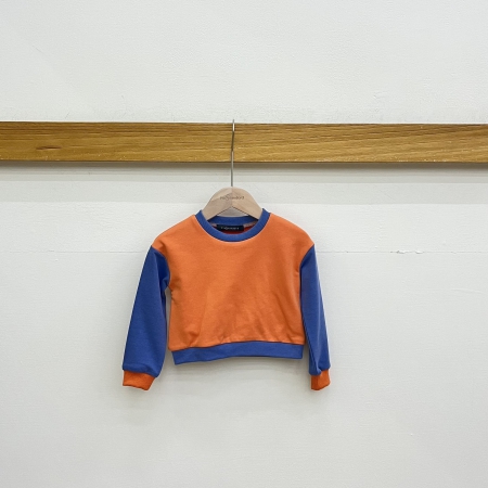 Boy Color Patch Crew Neck Sweatshirt